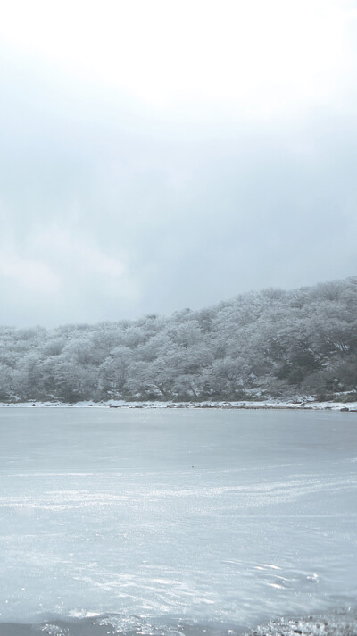 钟爱清新 意境 热爱自由