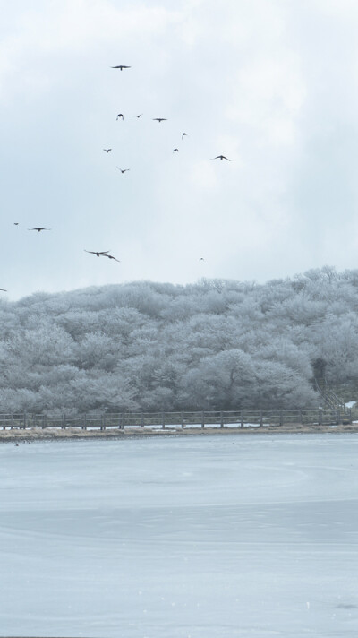 钟爱清新 意境 热爱自由