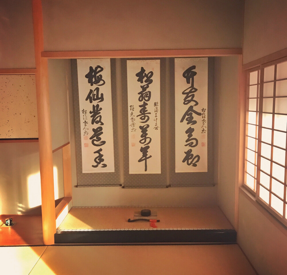 钟爱清新 意境 热爱自由