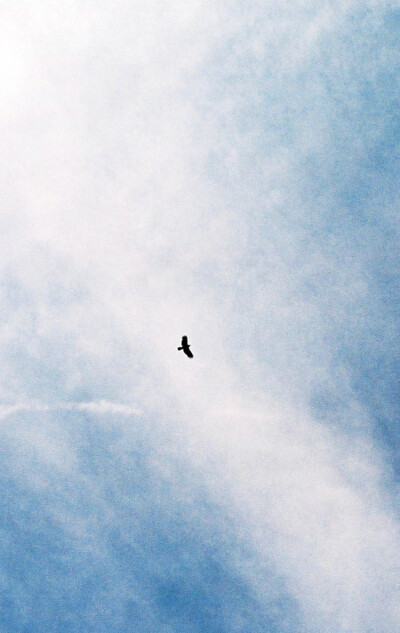 钟爱清新 意境 热爱自由