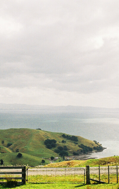 钟爱清新 意境 热爱自由