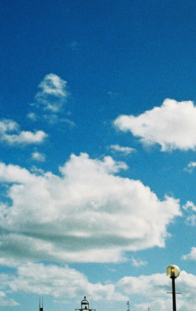 钟爱清新 意境 热爱自由