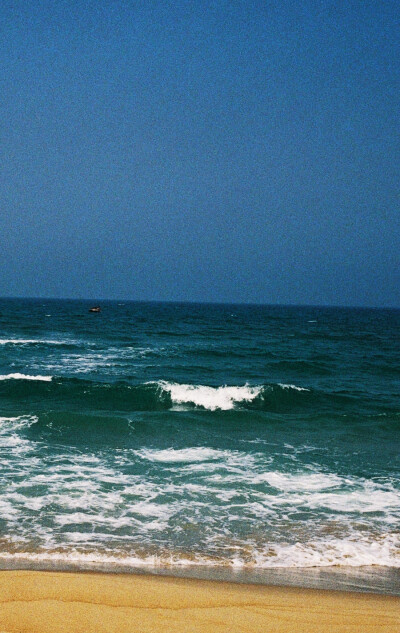 钟爱清新 意境 热爱自由