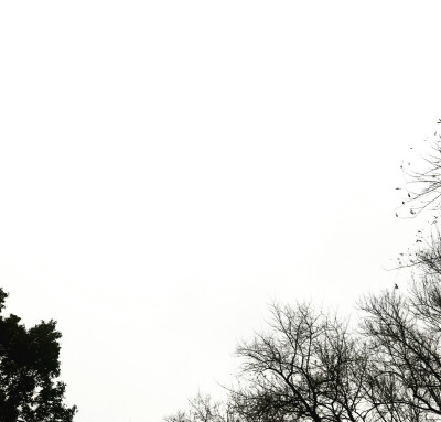 钟爱清新 意境 热爱自由