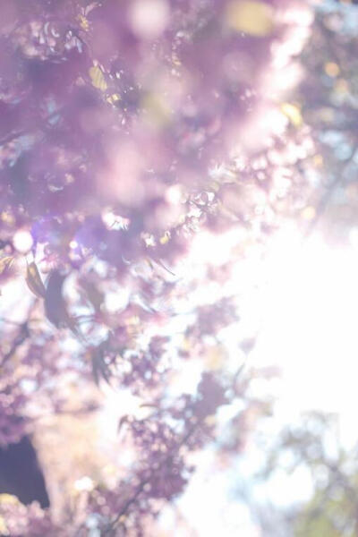 钟爱清新 意境 热爱自由