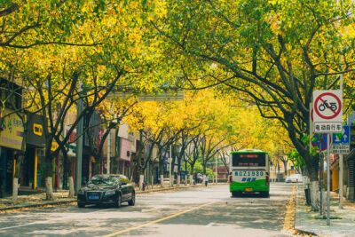  厦门大学(っ´Ι`)っ