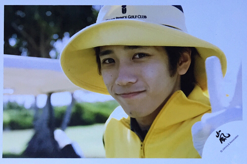 【nino】单人嵐标小树杈「06夏威夷」