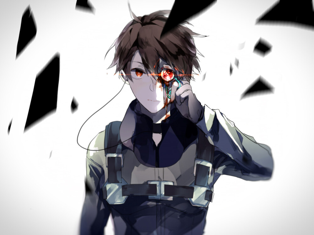 フェイク
P站：【翔】
id=48119753
aldnoah/zero