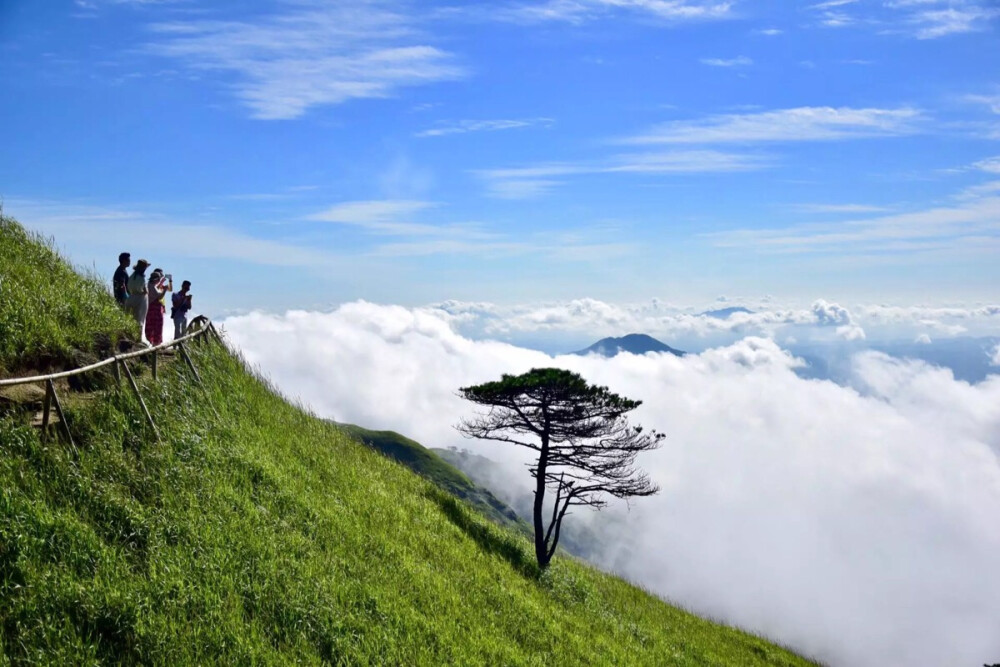 冬天，想在夏天去一趟武功山，安静的看一整天云海。（图片来自朋友）