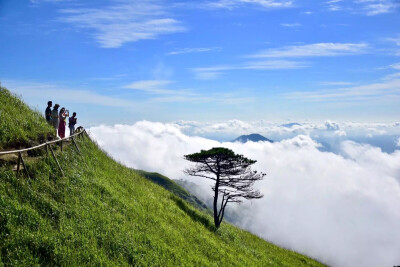 冬天，想在夏天去一趟武功山，安静的看一整天云海。（图片来自朋友）