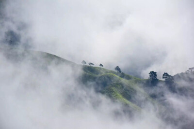 冬天，想在夏天去一趟武功山，安静的看一整天云海。（图片来自朋友）