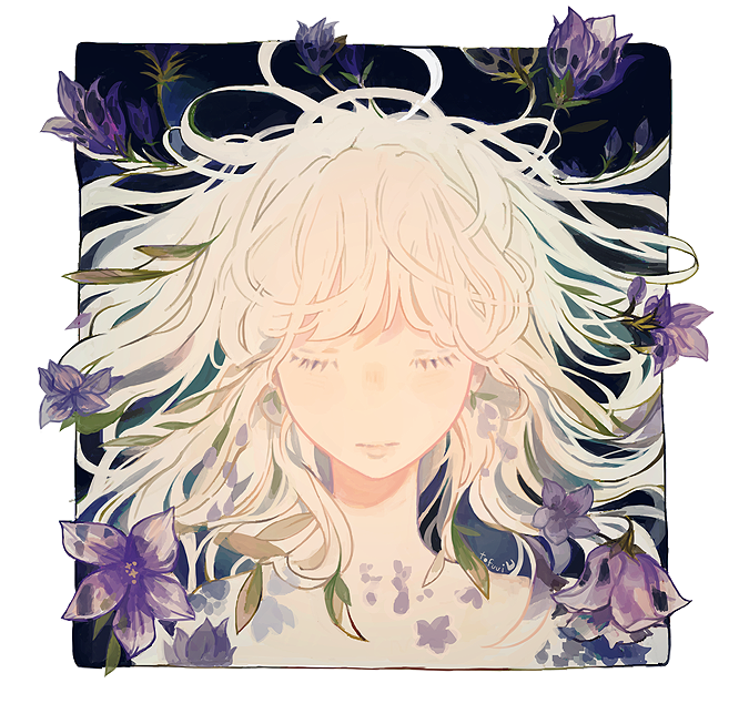 campanula. | tofuvi