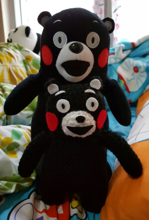 熊本熊 kumamon