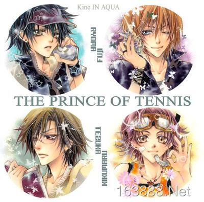 越前龙马 不二周助 手冢国光 菊丸英二