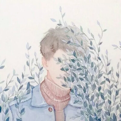 小清新
