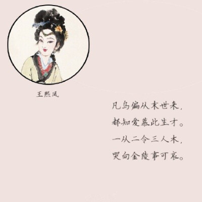 金陵十二钗判词的唯美古风插画带字