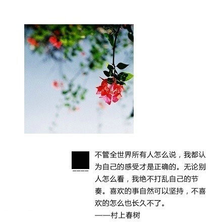 村上春树的经典语录