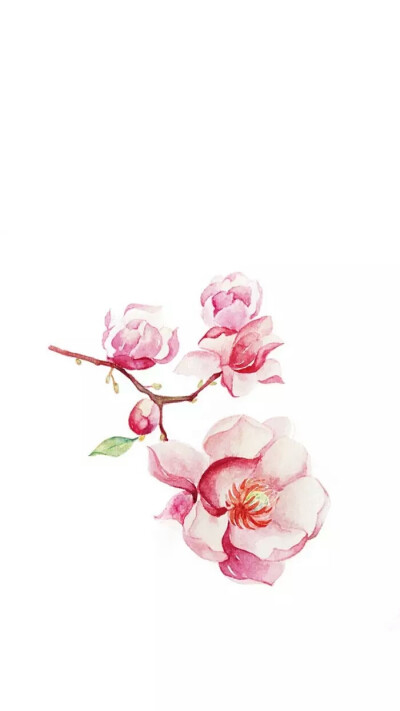 手机壁纸，聊天背景