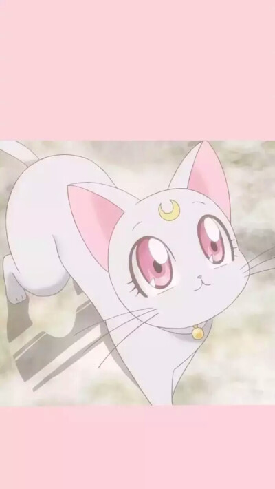 手机壁纸，聊天背景