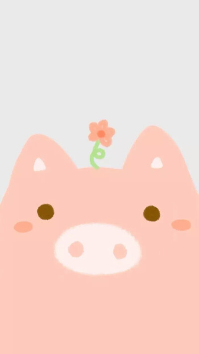 手机壁纸，聊天背景