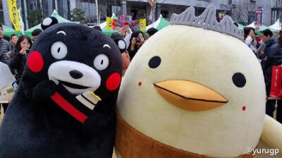 kumamon