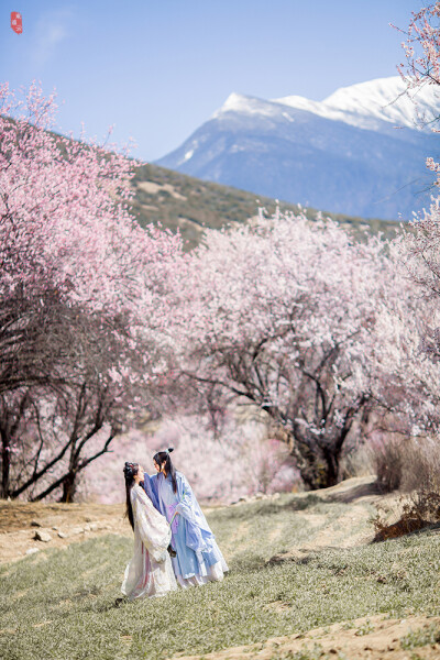 【汉服摄影' 东边云】〔刹那芳华〕 . 春风摇漾向天涯，幽光暗流转，原来春心无处不飞旋，便海山尽处有衣袂牵，风起玉尘沙。