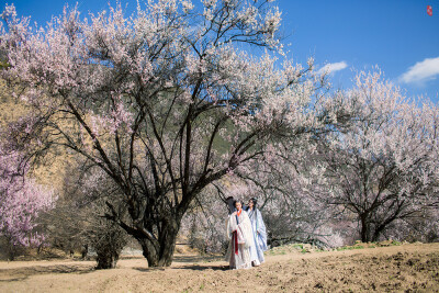 【汉服摄影' 东边云】〔刹那芳华〕 . 春风摇漾向天涯，幽光暗流转，原来春心无处不飞旋，便海山尽处有衣袂牵，风起玉尘沙。