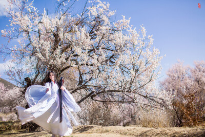 【汉服摄影' 东边云】〔刹那芳华〕 . 春风摇漾向天涯，幽光暗流转，原来春心无处不飞旋，便海山尽处有衣袂牵，风起玉尘沙。