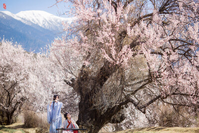 【汉服摄影' 东边云】〔刹那芳华〕 . 春风摇漾向天涯，幽光暗流转，原来春心无处不飞旋，便海山尽处有衣袂牵，风起玉尘沙。