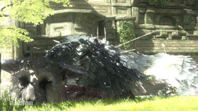 the last guardian