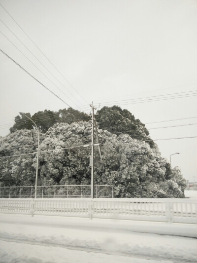 名古屋大雪