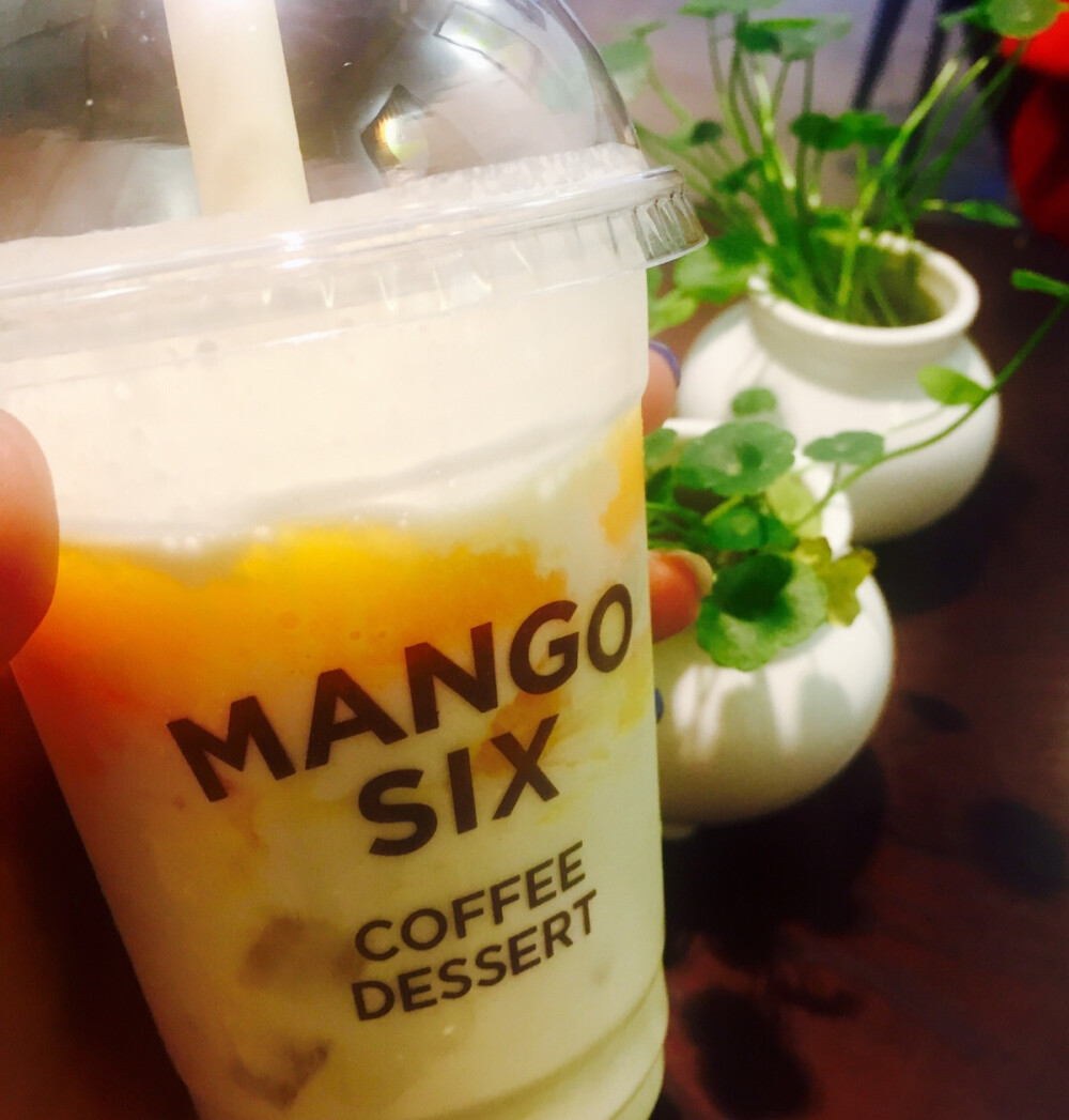 【mango six】成都·太古里