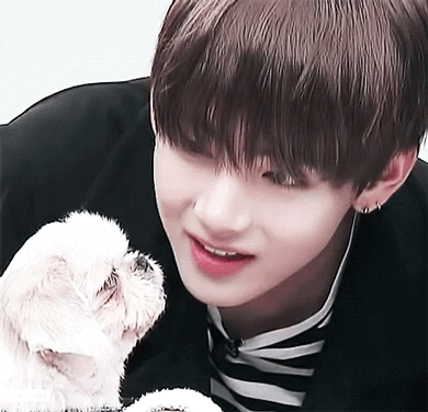 防弹少年团 金泰亨 泰泰