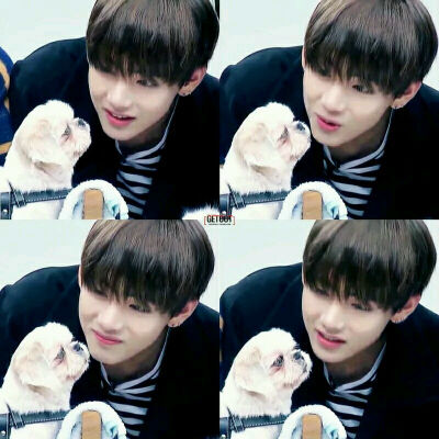 防弹少年团 金泰亨 泰泰