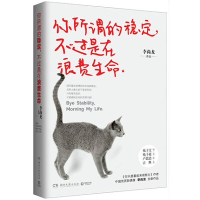 你所谓的稳定 不过是在浪费生命 你只是看起来很很努力 李尚龙新作 给年轻人的正能量青春励志小说