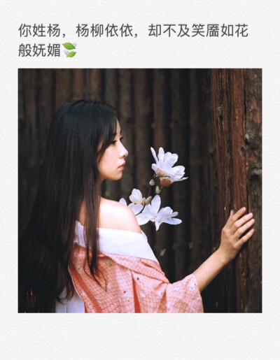 杨 姓氏图 备忘录 古风短句 By七月上︒