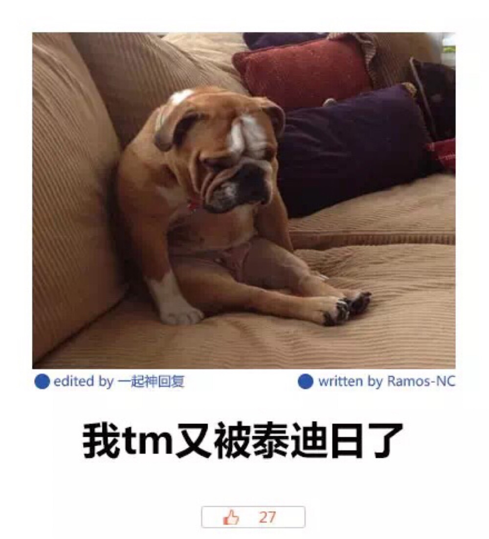 忧桑的沙皮