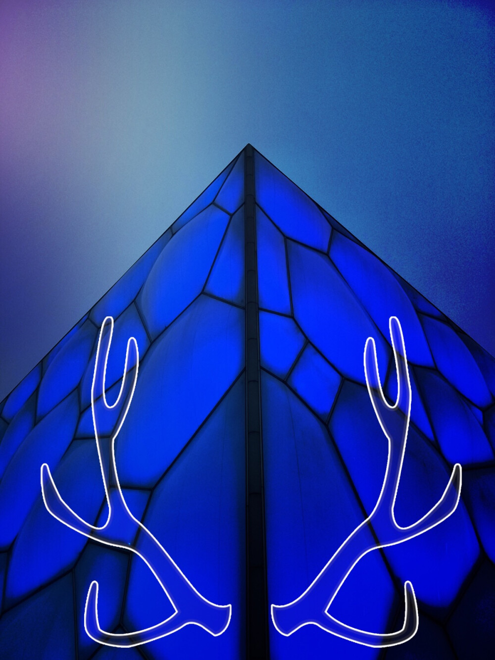 北京的夜景 水立方