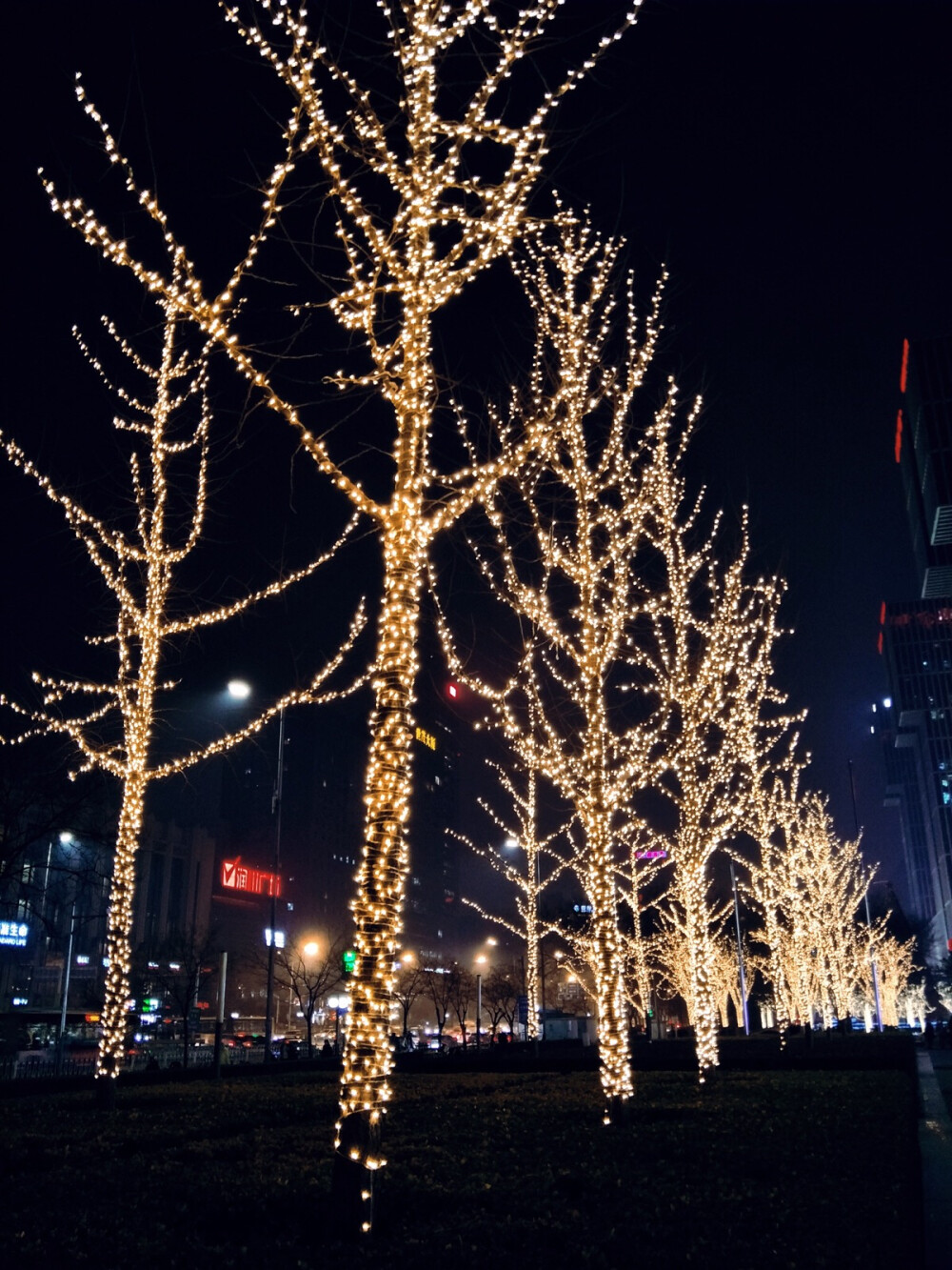 北京的夜景 大望路