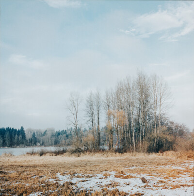 初雪后的温哥华鹿湖景色。雪后初晴，只有一层薄雪铺在地上，未能遮去天地间的颜色，反而映衬出枝头那点暗色的常绿，以及鹿湖边枯黄的干草。