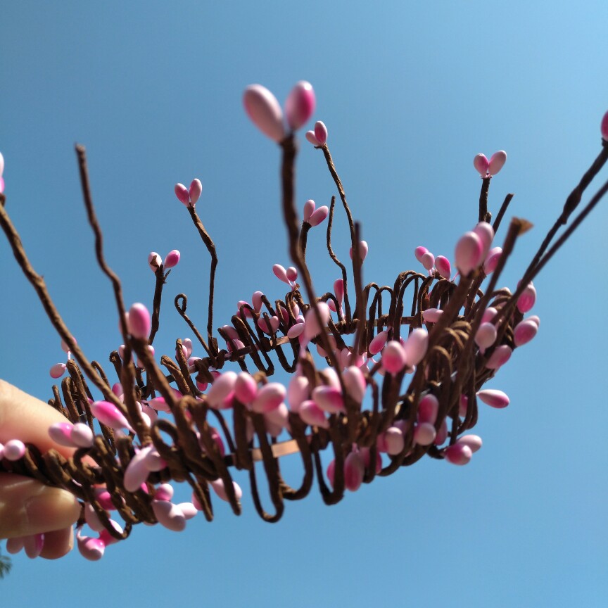 藤条花环