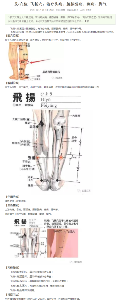 冯名雨艾灸贴：飞扬穴：治疗头痛、腰膝酸痛、癫痫、脚气