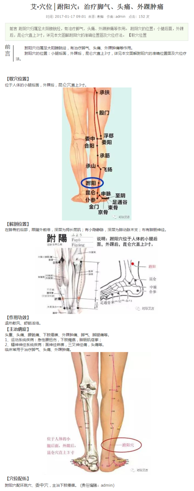 冯名雨艾灸贴：跗阳穴：治疗脚气、头痛、外踝肿痛