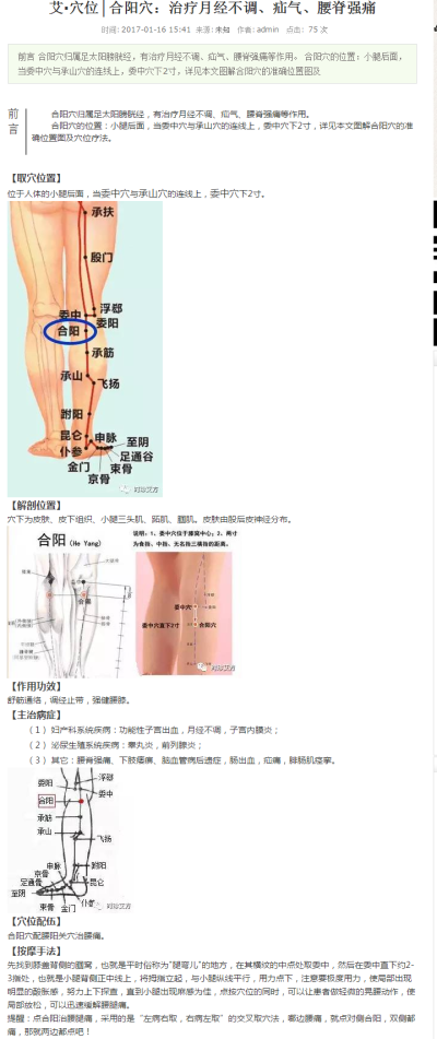 冯名雨艾灸贴：合阳穴：治疗月经不调、疝气、腰脊强痛