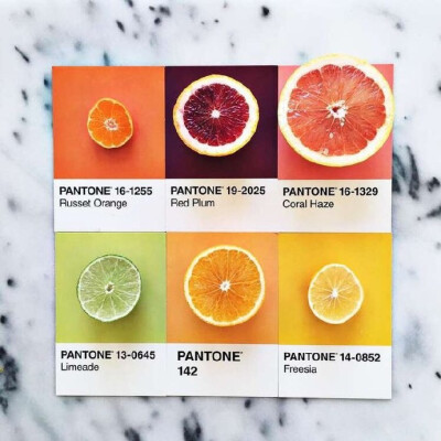 Pantone of Food ​​​​