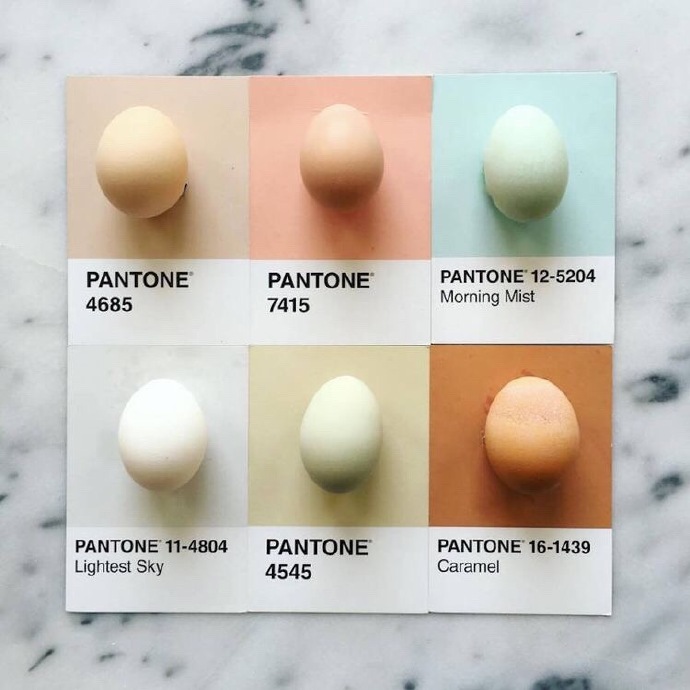Pantone of Food ​​​​