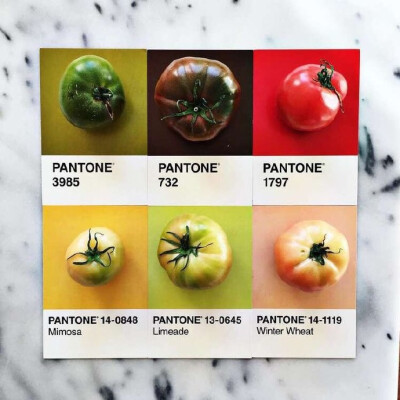 Pantone of Food ​​​​