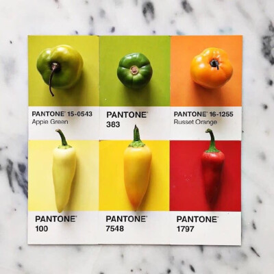 Pantone of Food ​​​​