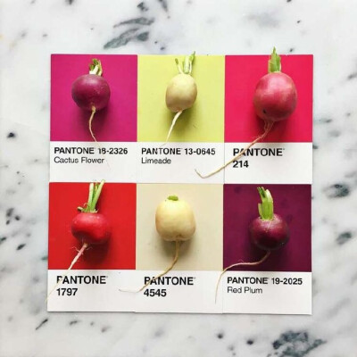 Pantone of Food ​​​​