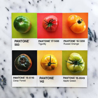 Pantone of Food ​​​​